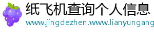 纸飞机查询个人信息